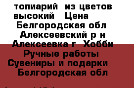 топиарий. из цветов. высокий › Цена ­ 400 - Белгородская обл., Алексеевский р-н, Алексеевка г. Хобби. Ручные работы » Сувениры и подарки   . Белгородская обл.